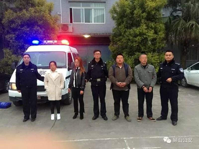 屏山县人民政府官方网站：最新政策与服务指南